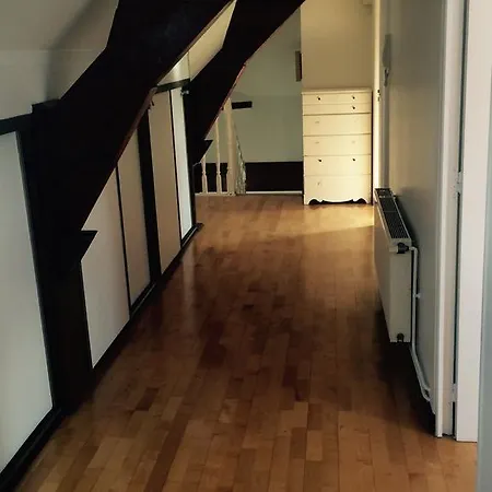 Apartament Experience Exquisite